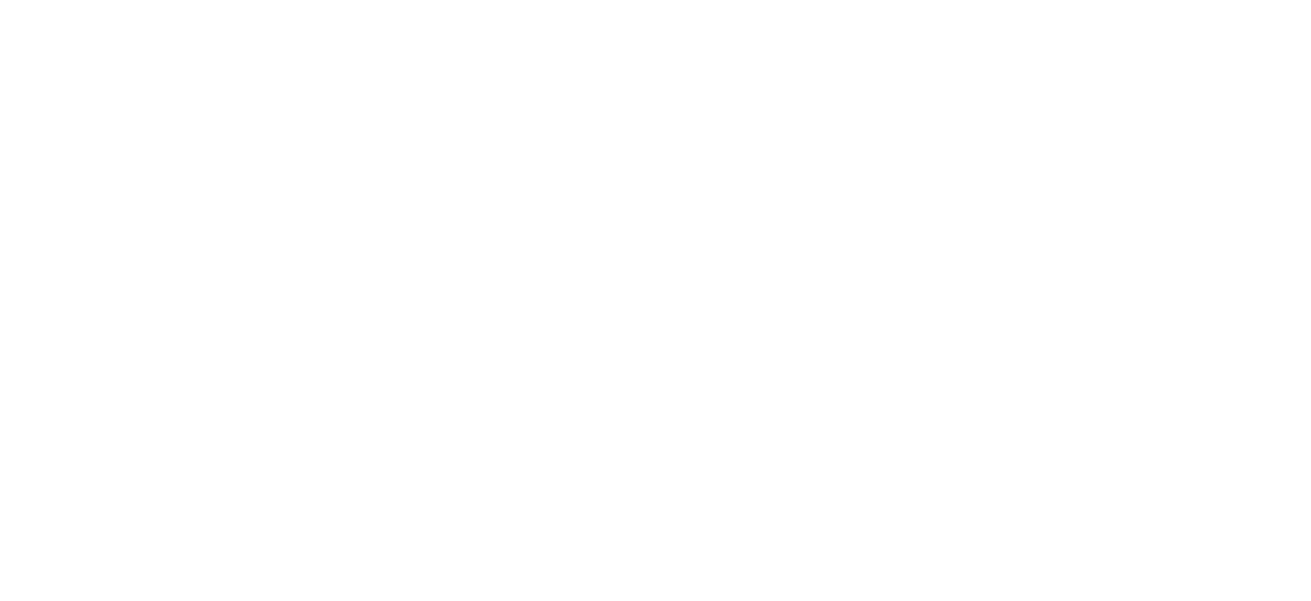 White version of the Next Chapter logo