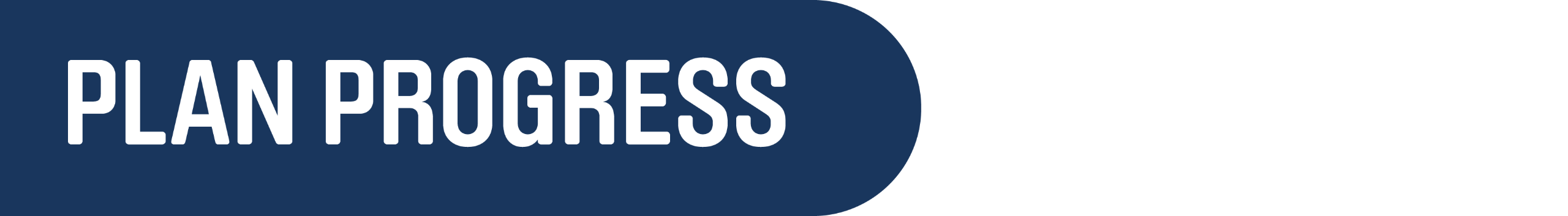 White text on a dark blue background that reads "Plan Progress"