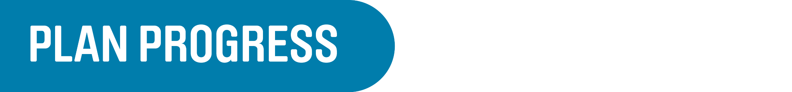 White text on a blue background that reads "Plan Progress"